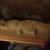 Stage tailleurs de pierre Hartheim 28 01 2014 089 (FILEminimizer)